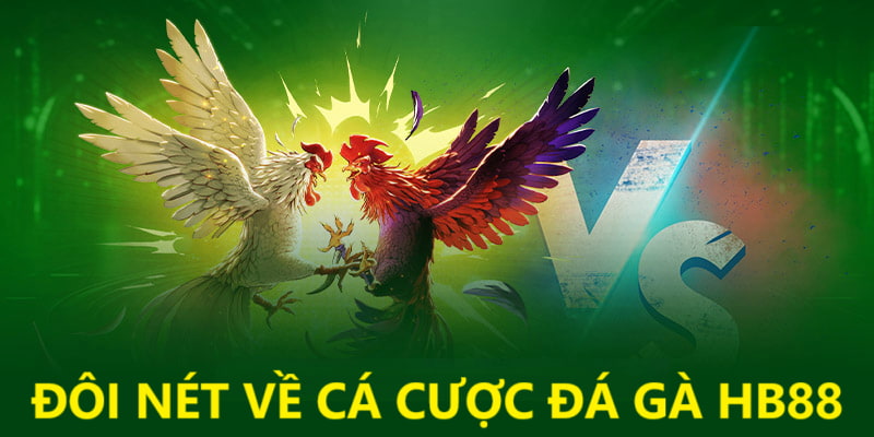 Đôi nét về cá cược đá gà tại HB88 Đôi nét về cá cược đá gà tại HB88