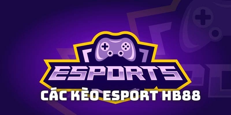 Các loại kèo cược cơ bản mà hội viên phải lựa chọn để cá cược E-Sport