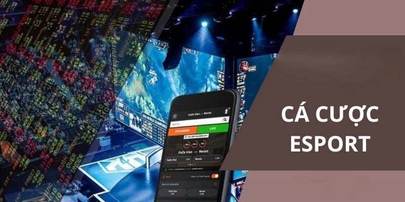 Cá cược eSport một hình thức giải trí xu hướng đang được hội viên HB88 ưa chuộng