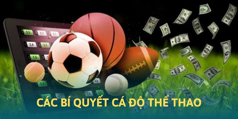 Những bí quyết cá độ thể thao tại HB88 Những bí quyết cá độ thể thao tại HB88
