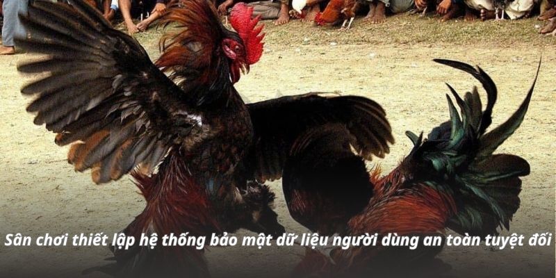Sân chơi thiết lập hệ thống bảo mật dữ liệu người dùng an toàn tuyệt đối Sân chơi thiết lập hệ thống bảo mật dữ liệu người dùng an toàn tuyệt đối