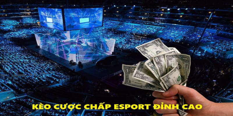 Cược chấp thể thao điện tử đỉnh cao Cược chấp thể thao điện tử đỉnh cao
