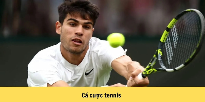 Các loại cược tennis có nhiều ưu điểm nổi bật Các loại cược tennis có nhiều ưu điểm nổi bật