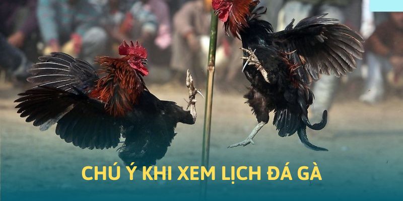 Các chú ý khi xem kế hoạch đá gà HB88 Các chú ý khi xem kế hoạch đá gà HB88