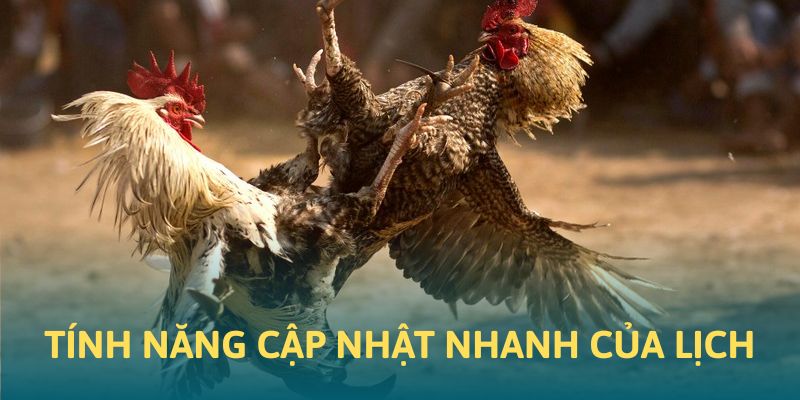 Tính năng cập nhật nhanh chóng trong lịch chọi kê Tính năng cập nhật nhanh chóng trong lịch chọi kê